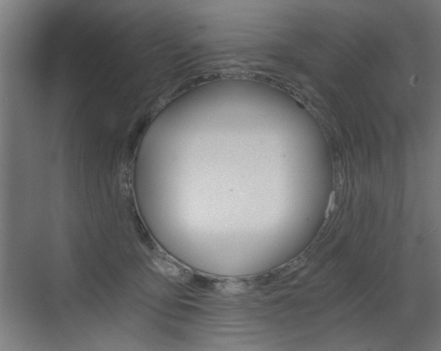 X0000072960419200607211009