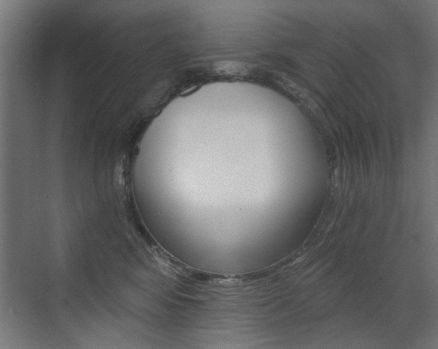 X0000072960424200607211009