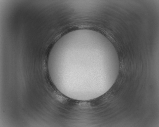 X0000072960426200607211009
