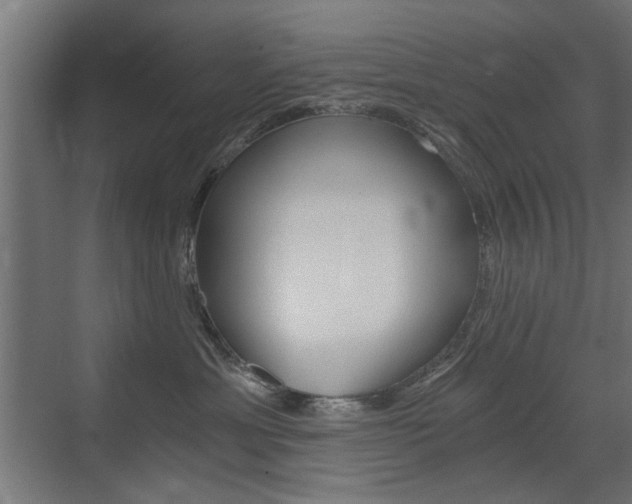 X0000072960429200607211009
