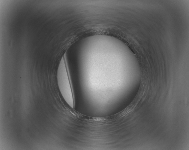 X0000072960432200607211009