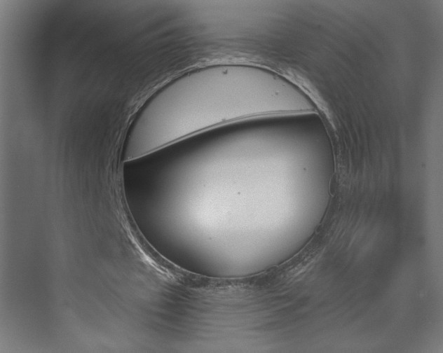 X0000072960433200607211008