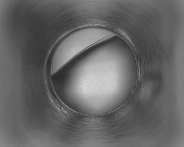X0000072960435200607211008