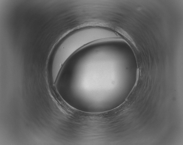 X0000072960436200607211008