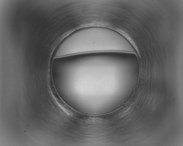 X0000072960437200607211008