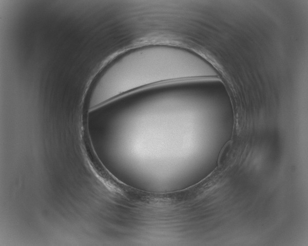 X0000072960438200607211008