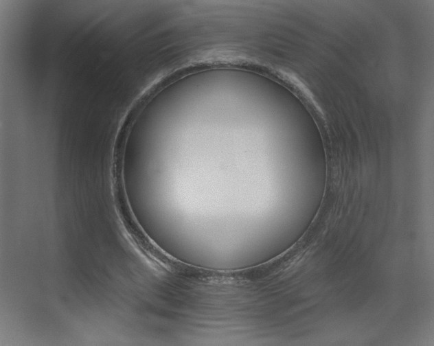 X0000072960439200607211008