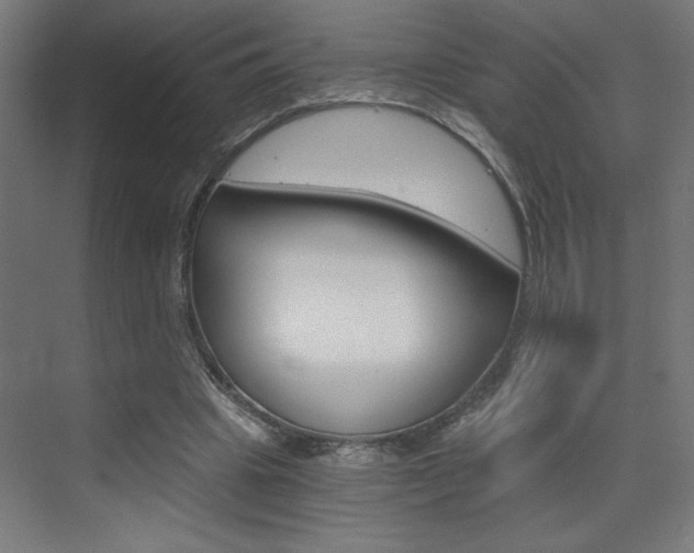 X0000072960441200607211009
