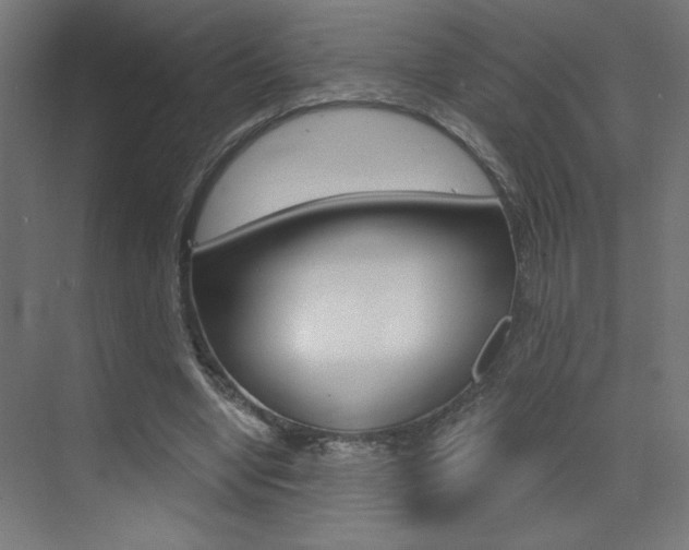 X0000072960442200607211009