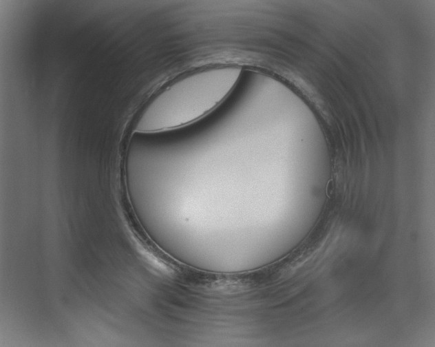 X0000072960445200607211009