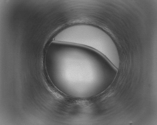 X0000072960446200607211009