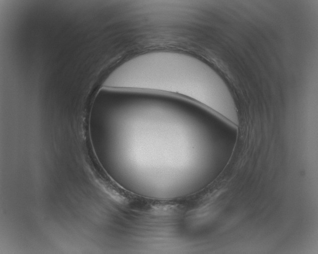 X0000072960450200607211009