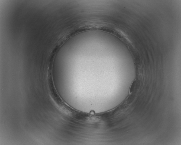 X0000072960451200607211009