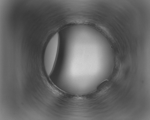 X0000072960453200607211009