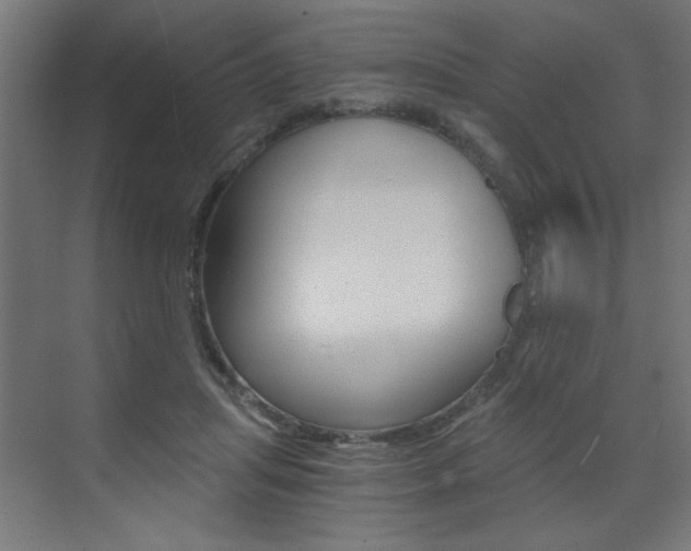 X0000072960455200607211009