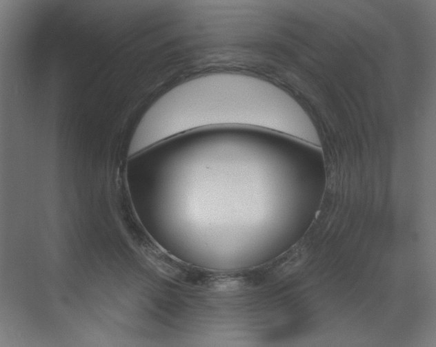 X0000072960456200607211009
