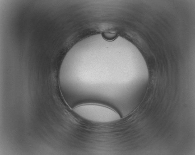 X0000072960461200607211009
