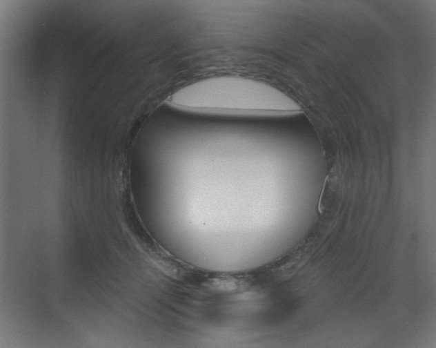 X0000072960464200607211009
