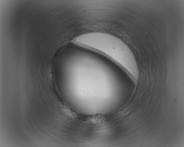 X0000072960466200607211009