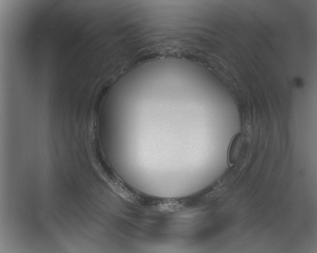 X0000072960468200607211009