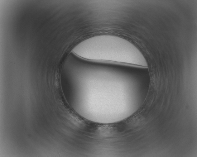 X0000072960470200607211009