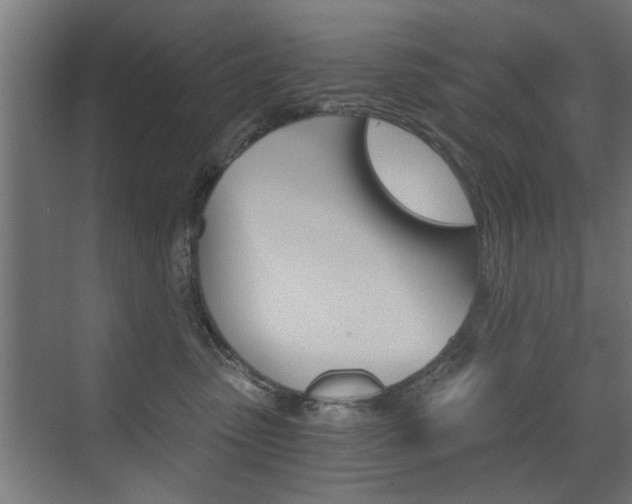 X0000072960475200607211009