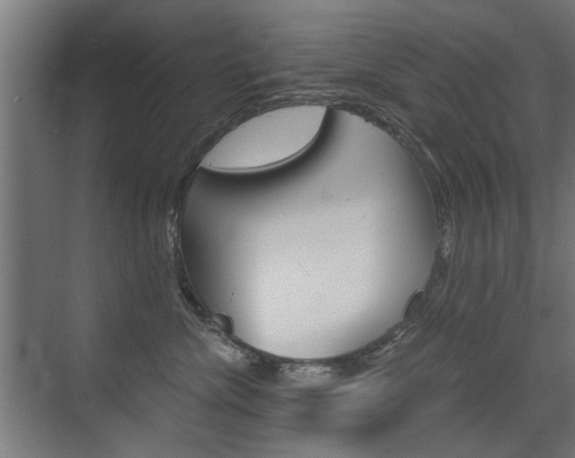 X0000072960476200607211009