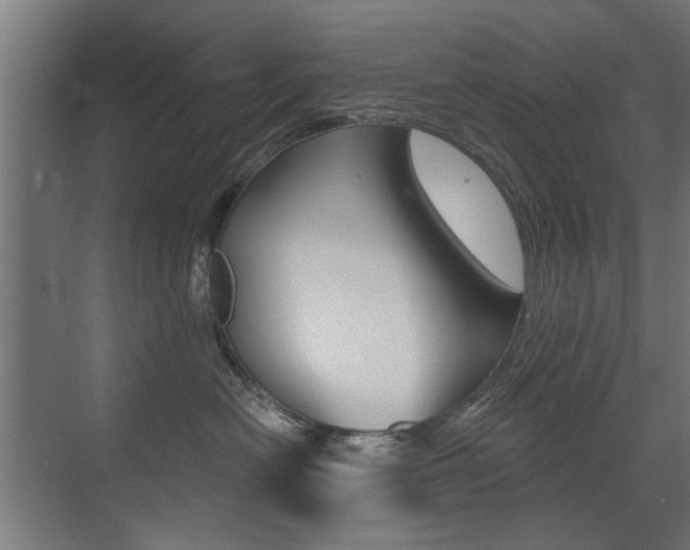X0000072960478200607211009