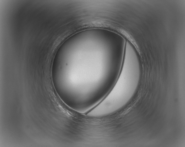 X0000072960481200607211008