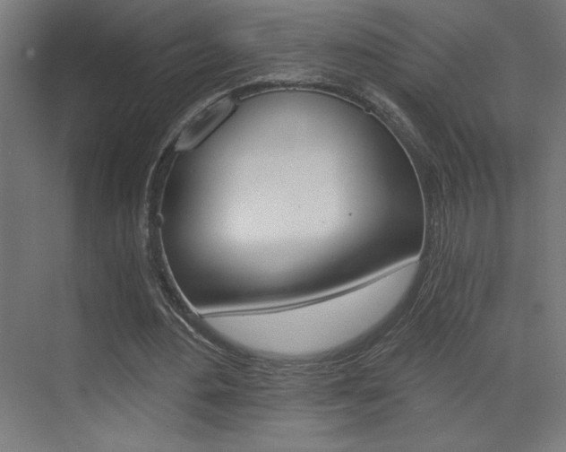 X0000072960484200607211008