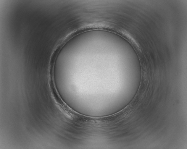 X0000072960486200607211008