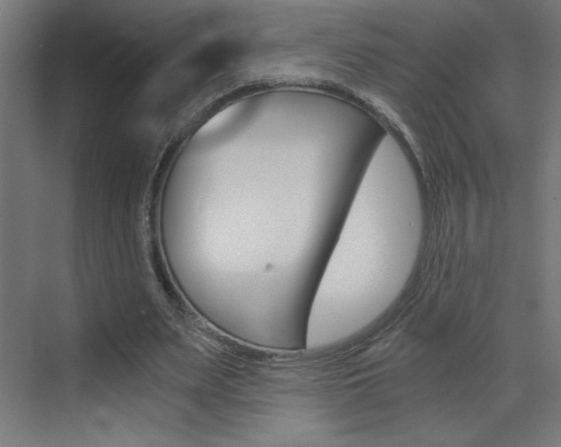 X0000072960487200607211008