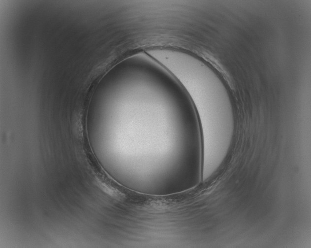 X0000072960489200607211008