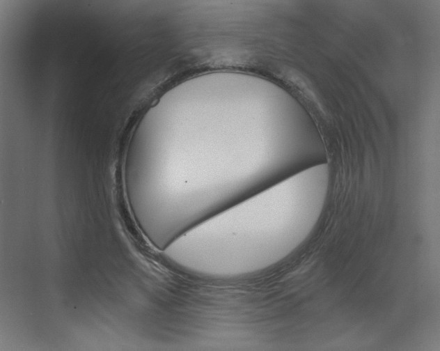 X0000072960491200607211008