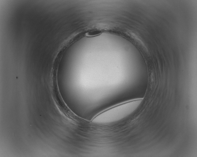 X0000072960492200607211008