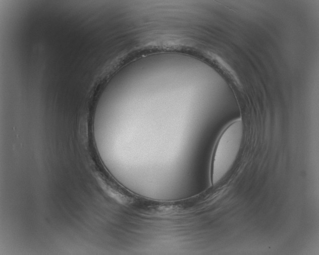 X0000072960493200607211008