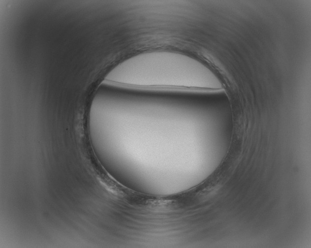 X0000072960497200607211008
