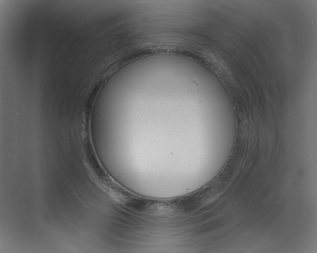 X0000072960498200607211008