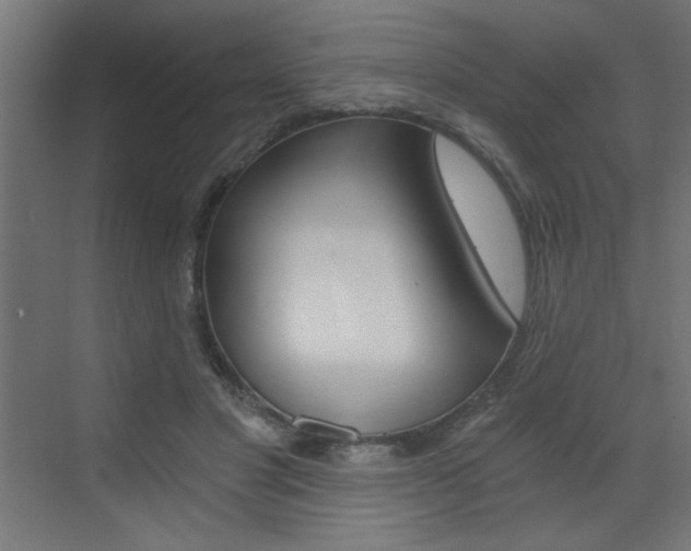 X0000072960501200607211008