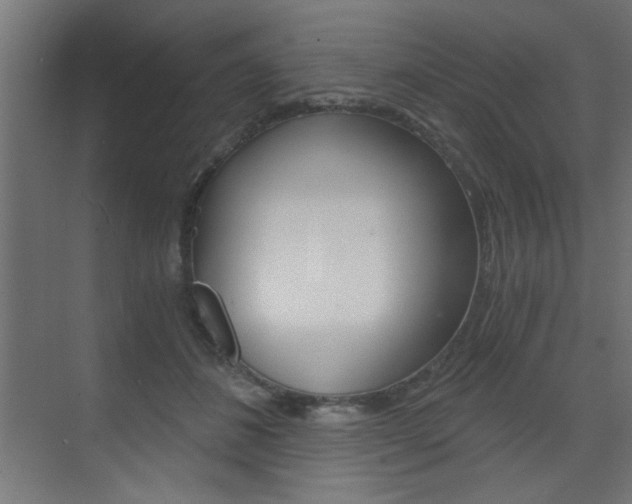 X0000072960508200607211008