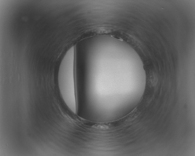 X0000072960512200607211008