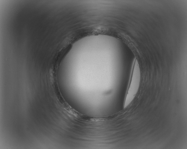 X0000072960520200607211008