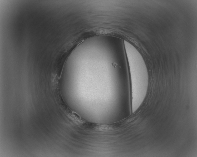 X0000072960521200607211008
