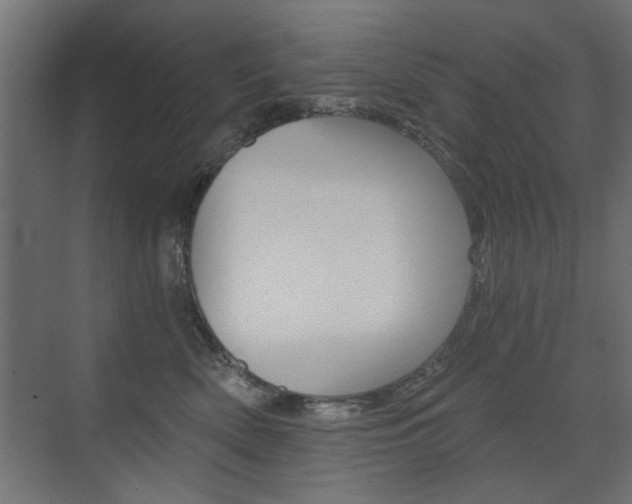 X0000072960522200607211008