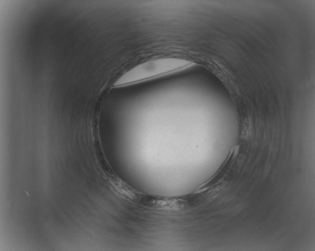 X0000072960524200607211008