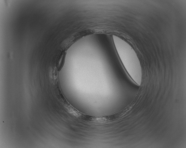 X0000072960525200607211008