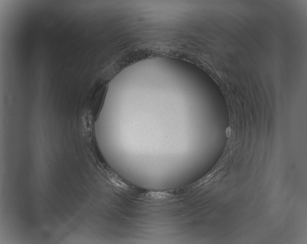 X0000072960528200607211008