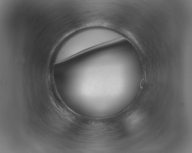 X0000072960531200607211007