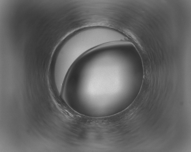 X0000072960532200607211007