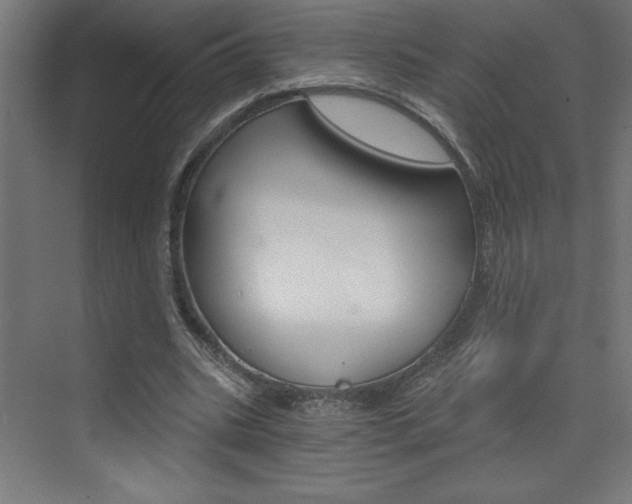 X0000072960535200607211007